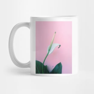 peace lily, lily, flower, peace, plant, white lily, calla lily, bloom, white, white flower, peace lily flower, spathiphyllum, peace flower, house plant, peace lily bloom Mug